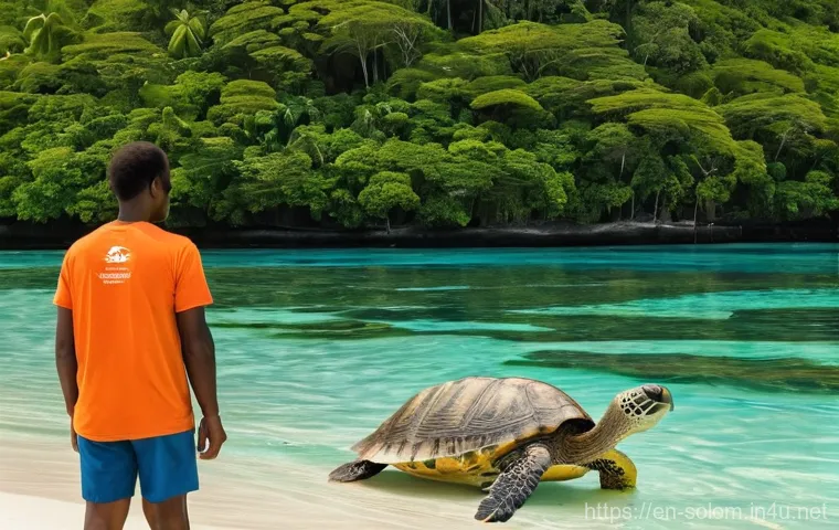 솔로몬 제도 바다 거북 서식지 - A heartwarming scene on a pristine white-sand beach in the Solomon Islands. A group of Solomon Islan...